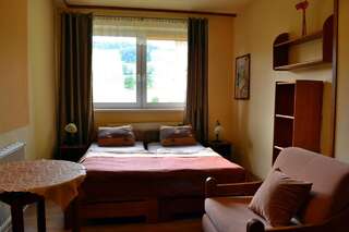 Курортные отели Agal Sport Зеленец Стандартный номер с 2 односпальными кроватями и диваном-13